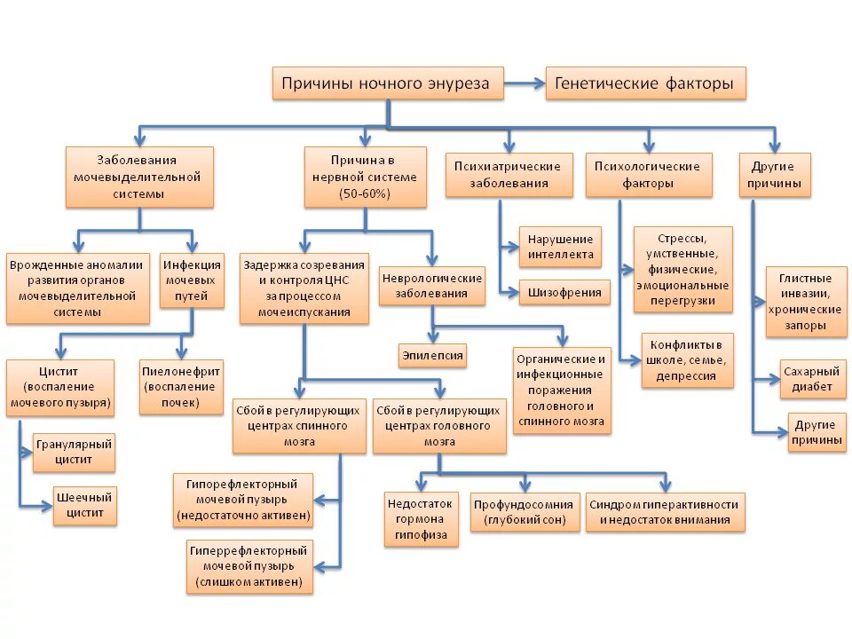Ночное недержание мочи у мужчин. Детский энурез причины. Механизм развития энурез. Неврологические причины энуреза у детей. Недержание мочи у детей причины.