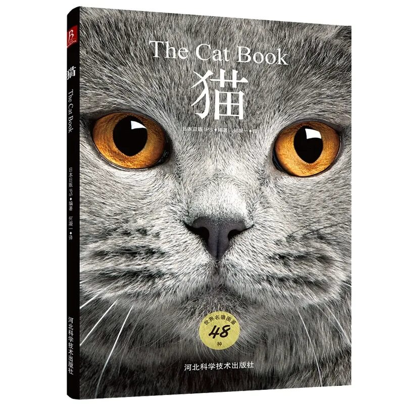 My cat new. Книги о котах. Кот с книгой. Книги про кошек. Книга с котом на обложке.