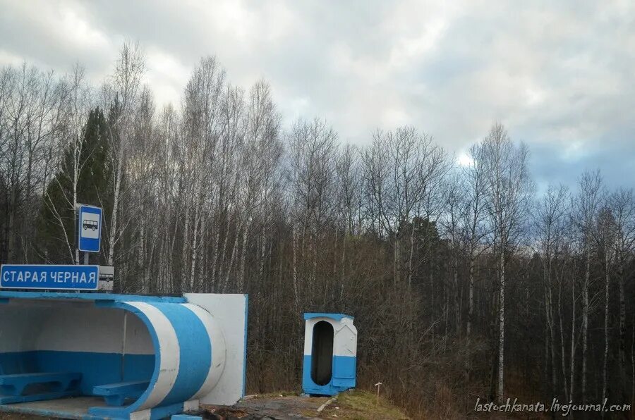 Остановки шарыпово. Шарыпово остановка. Пионерный 3 шарыпово. Шарыпово улицы. Остановки шарыпово.