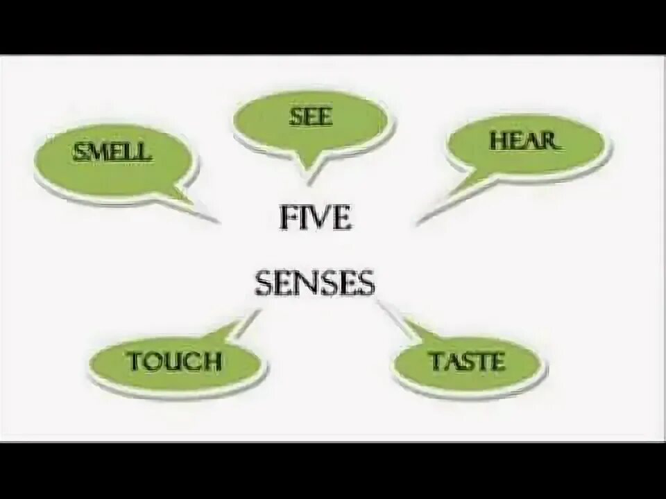 Look feel smell taste sound карточки. Feel smell. Stative and dynamic verbs в английском языке. Feel smell. Verbs of senses.