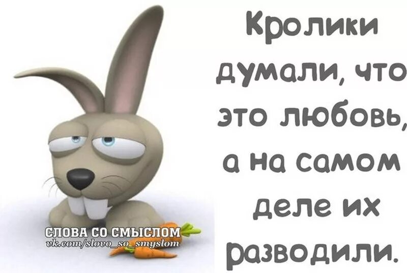 Слова со слова насморк. Слова со смыслом. Слова со смыслом прикольные. Кролик думает. Злые рисунки со смыслом прикольные.