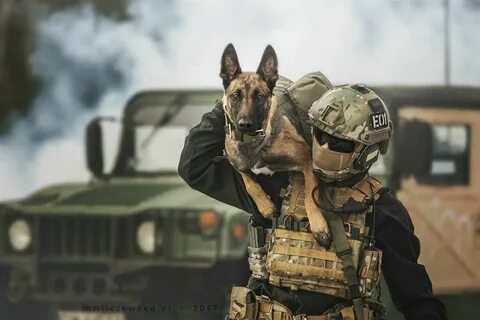 H24The Unbreakable Bond: Military Personnel and Their Canine Companions