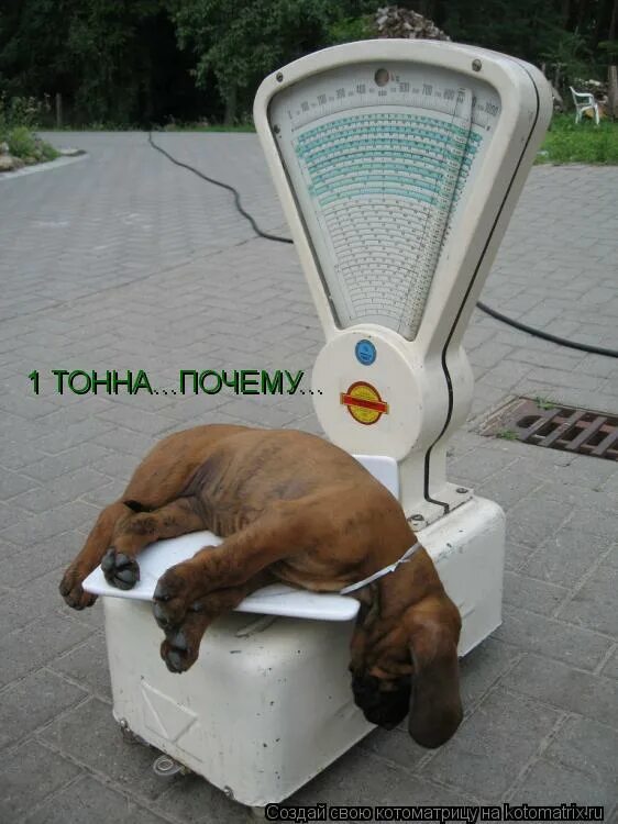 Почему тн. Схема подключения трансформатора напряжения 10 кв. Конструкция трансформаторов тока и напряжения. Почему тн. Трансформатор напряжения 6 кв разомкнутый треугольник.