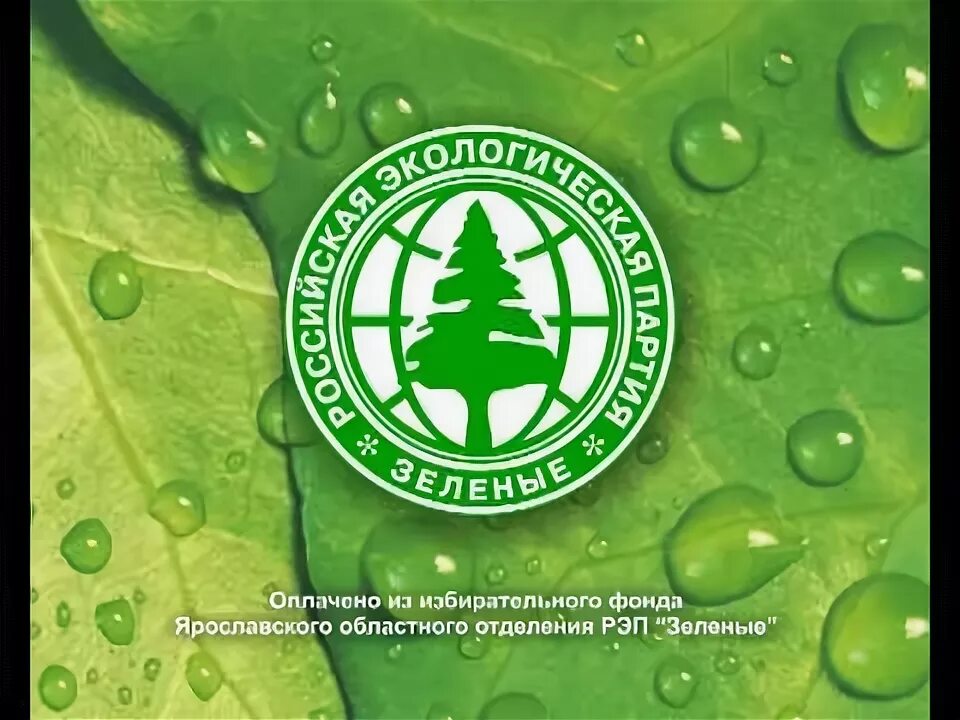 Рэп зеленые команда. Рэп зеленые. Рэп зеленые команда. Редька китайская маргеланская. Экологическое движение зеленые.