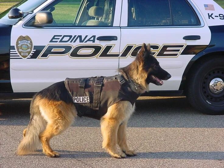How to become a Police Officer in Connecticut? at emaze Presentation