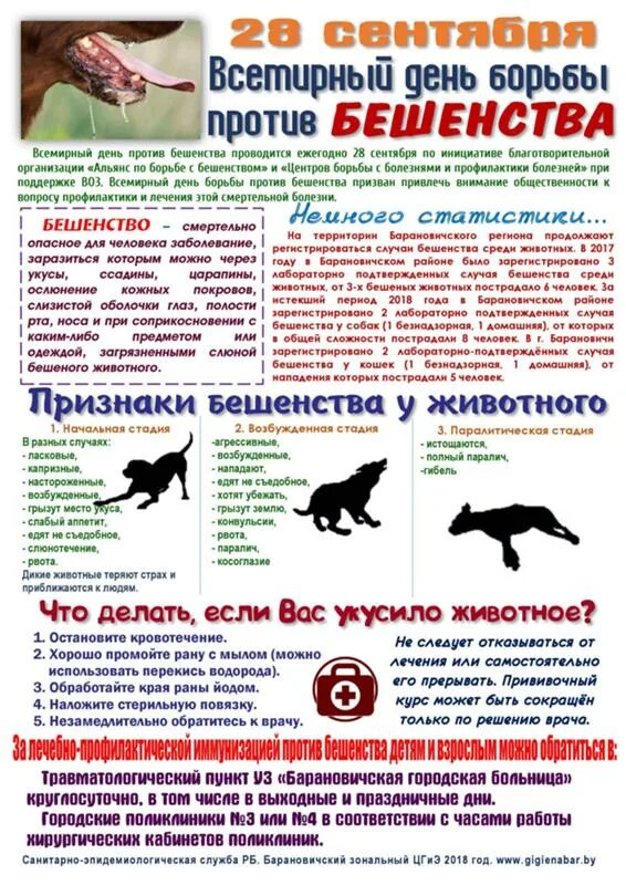 Бешенство памятка. Профилактика бешенства. Можно ли заразиться бешенством от привитой. Можно ли заразиться бешенством от привитой. Профилактика бешенства памятка.