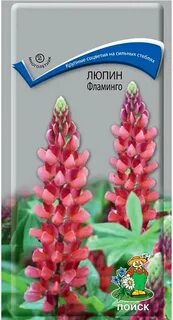 Люпин факультет