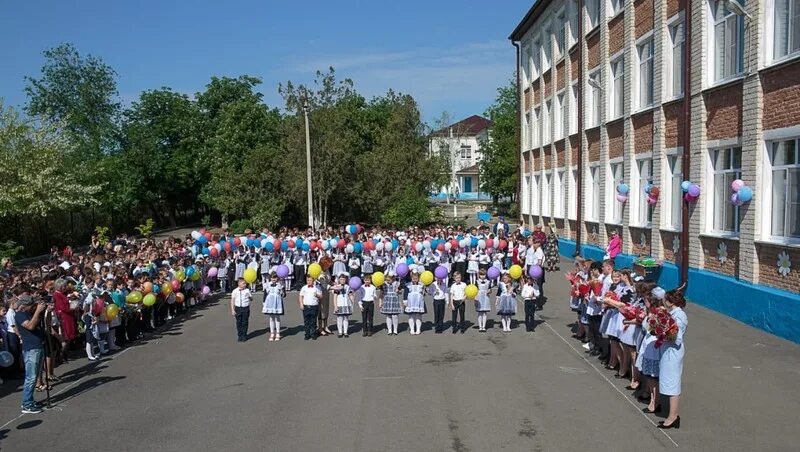 Школа 11 ставрополь. Школа 11 Красногвардейское Ставропольский край. С Константиновское Петровский район Ставропольский край. Село Константиновское школа. Село Константиновское Петровского района Ставропольского края.