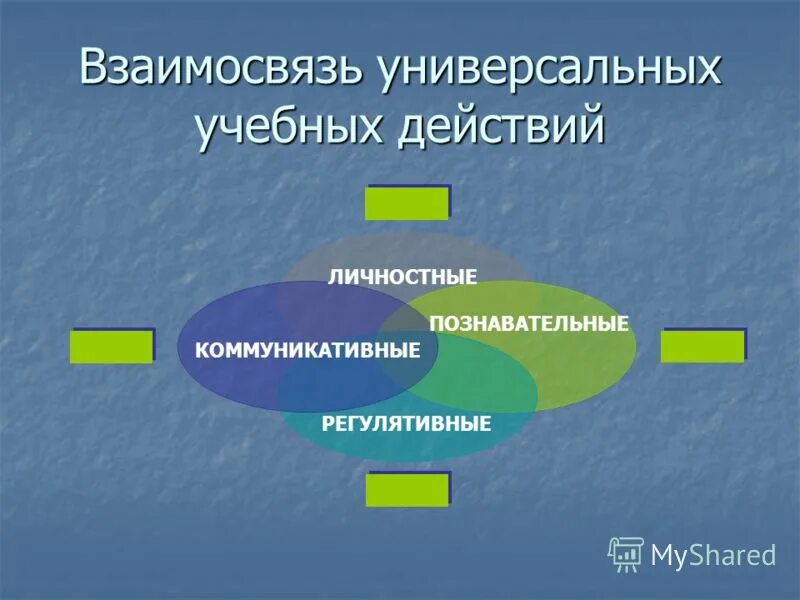 направление считающее единственным источником