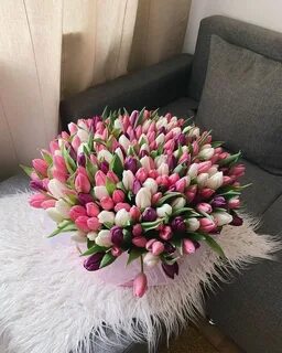 Тюльпаны благовещенск