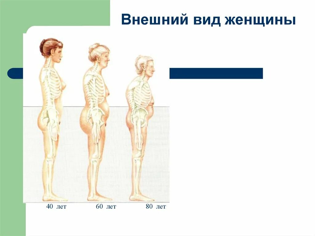 Симптомы повышенного эстрогена у женщин. Дефицит половых гормонов. Дефицит эстрогенов. Высокий эстроген у женщин. Недостаток эстрогена.