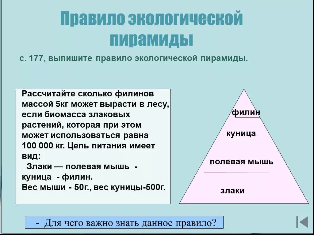 Правила экологической пирамиды задачи. Экологическая пирамида прваилр. Правила экологической пирамиды задачи. Экологические задачи. Правило экологической пирамиды.