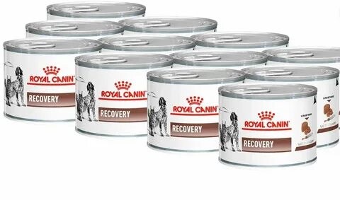 Recovery для кошек