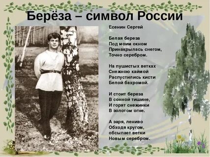 Слова есенина музыка струве береза