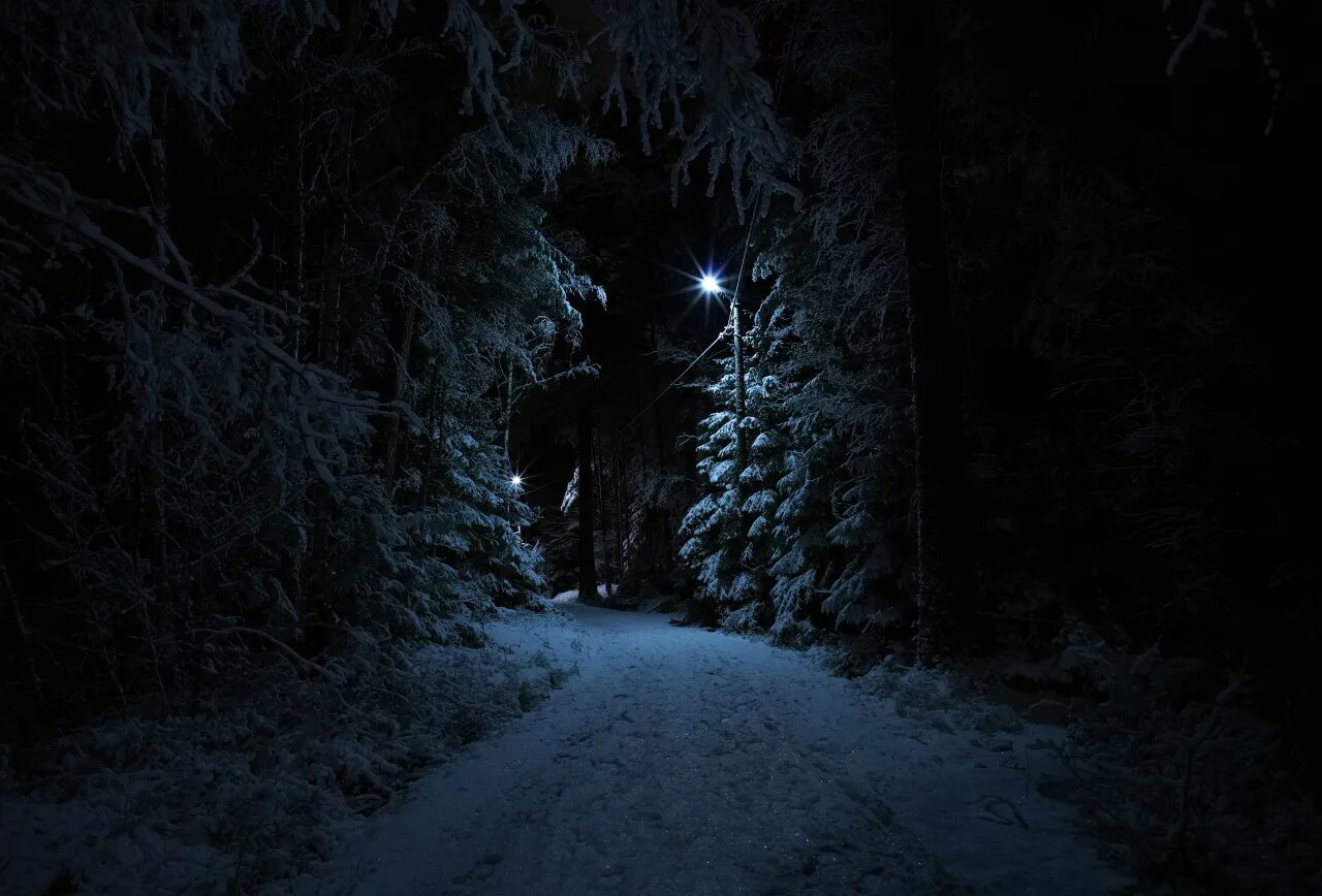 «Ночь в лесу». Зима ночь. Снег ночью. Снежный лес ночью.