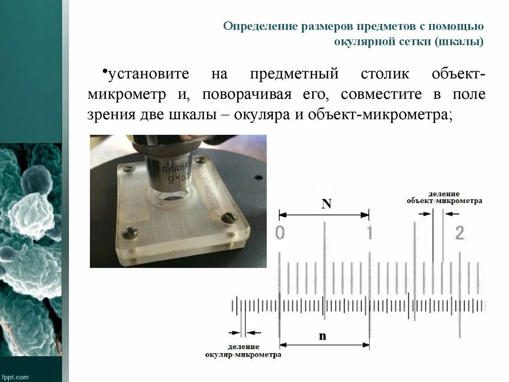 Методы определения простейший. Измерение размеров малых объектов. разрешающая способность микроскопа. методы измерения на микроскопе. микроскоп слайд.