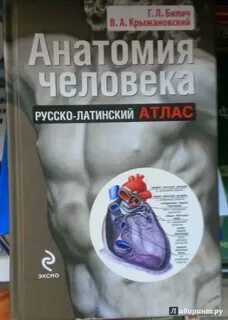 Билич атлас 2