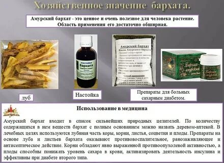 Применение ягод бархата