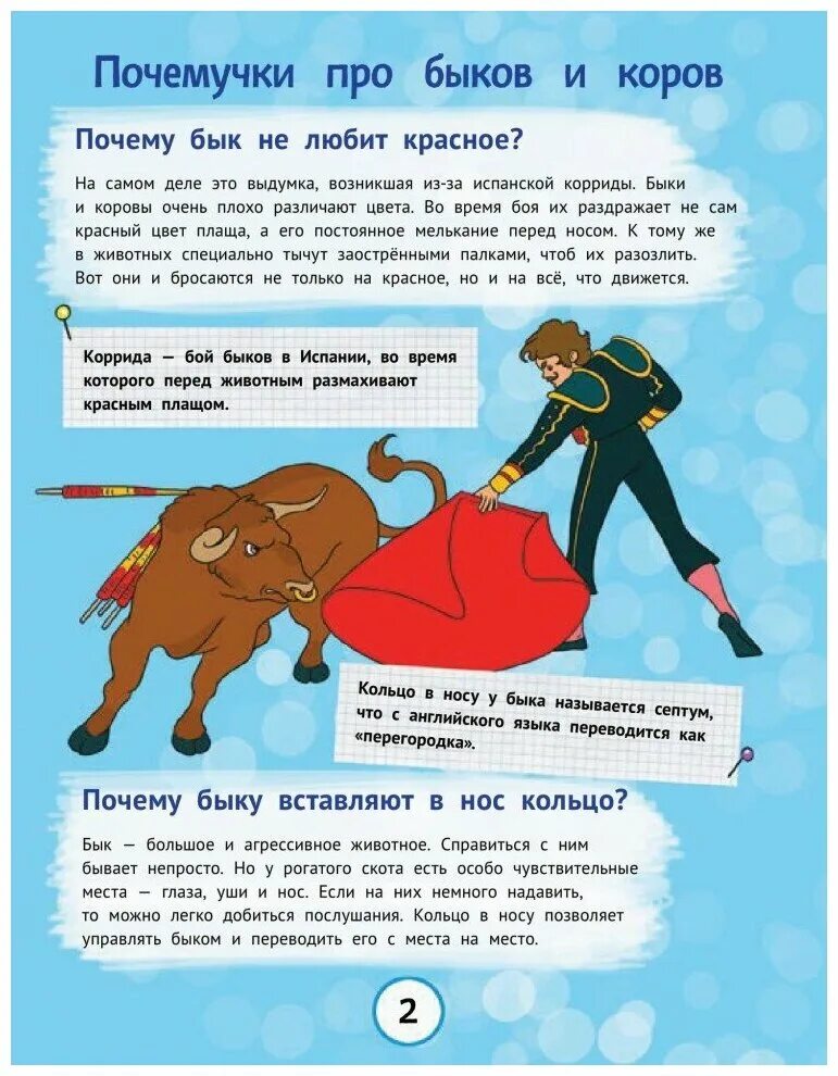 Красная тряпка на корриде. Бык любит красный цвет. Почему быки не любят красное. Почему быки не любят красный цвет. Бык не любит красный цвет.