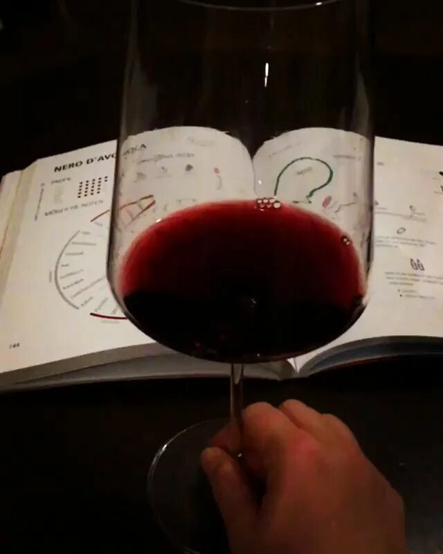 Типы винных бокалов wine folly. Формы бокалов для вина. Бокалы для красного и белого вина. Красивые бокалы. Что значит бокал вина.