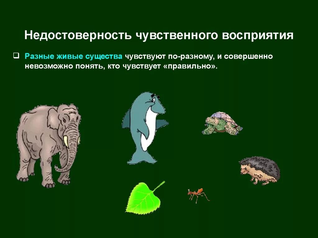 Чувственное существо. Активность живых существ. Человек и другие живые существа. Чувственное восприятие. Чувственное присуще всем живым существам.