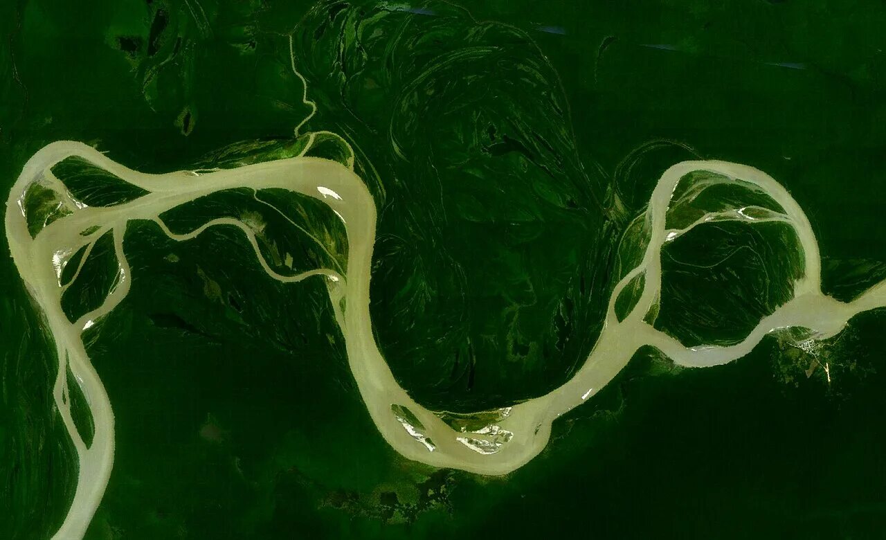 Рукав реки 7. Река Амазонка снимок из космоса. Устье реки амазонки из космоса. Дельта реки Амазонка. Амазонка река речное русло.