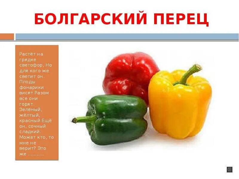 1 класс он перец класс. 1 класс он перец класс
