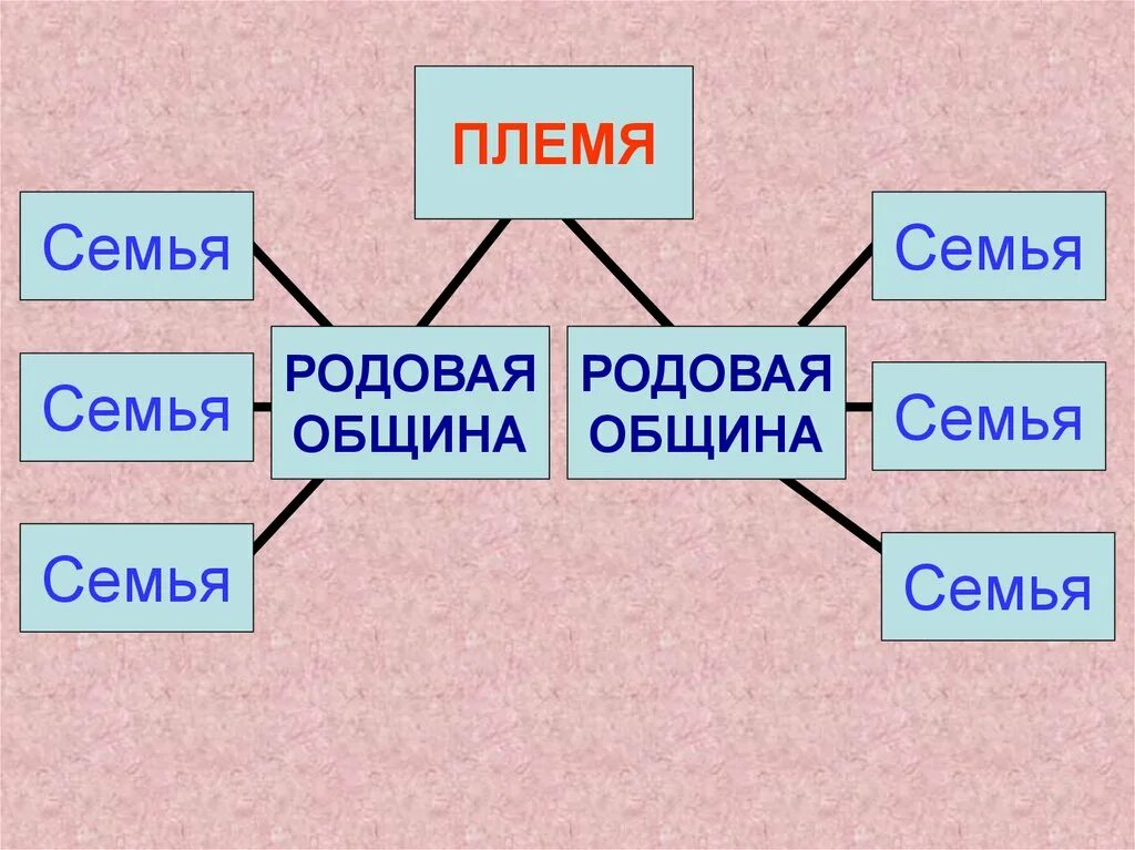 Что такое род племя община. Семья родовая община. Род родовая община племя. Семья род племя.