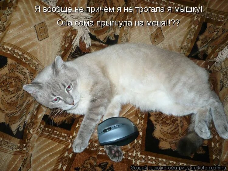 Я совсем не причем. Я совсем не причем