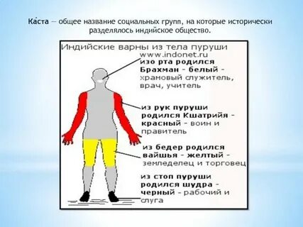 Какие есть 4 касты