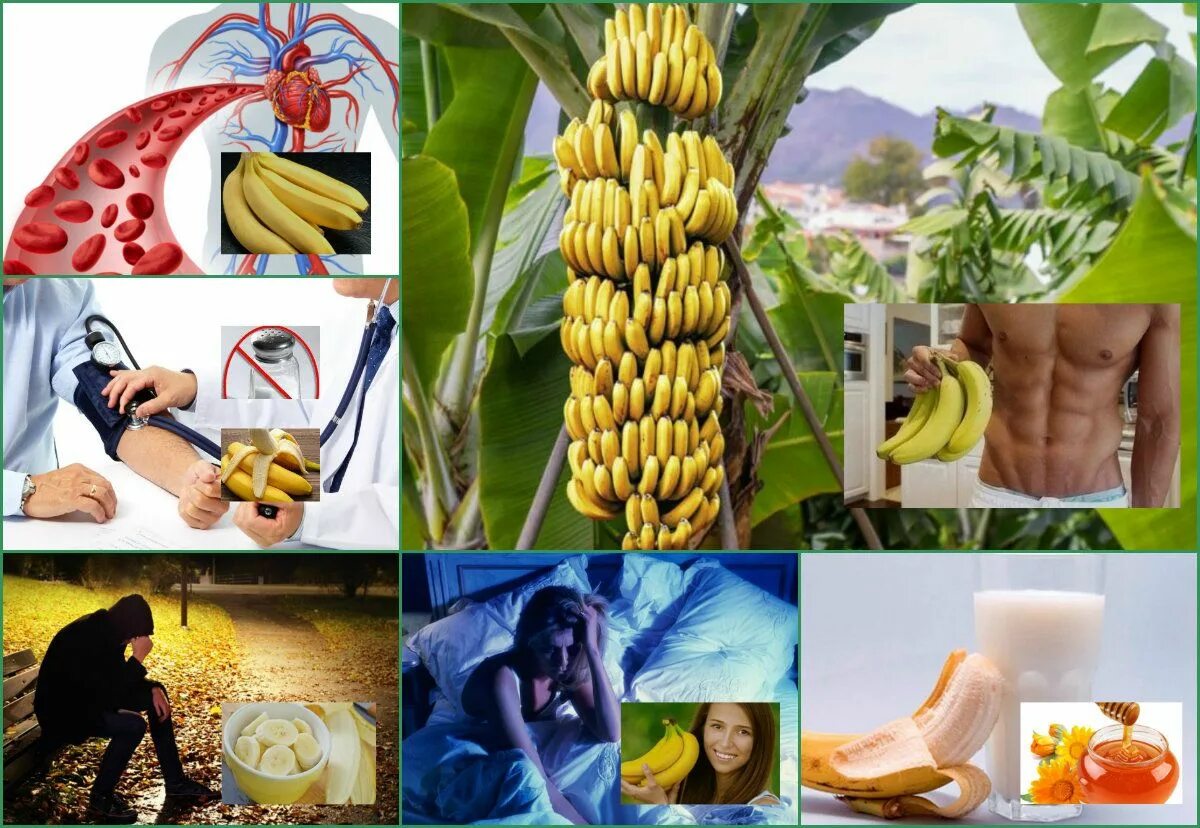 Вред бананов для мужчин. Бананы польза. Польза бананов. Вредные и полезные банане. Полезность бананов для организма человека.