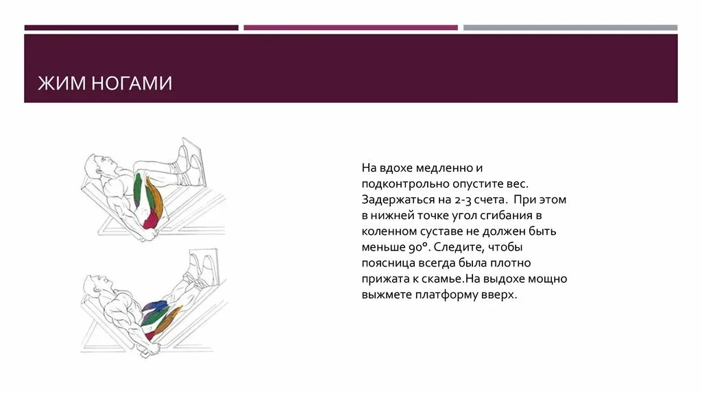 Сколько весит платформа для жима лежа. Жим ногами лежа. жим ногами лежа на тренажере схема. жим ногами в тренажере положение ног. расположение ног при жиме ногами.