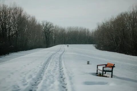 Пусто зимой