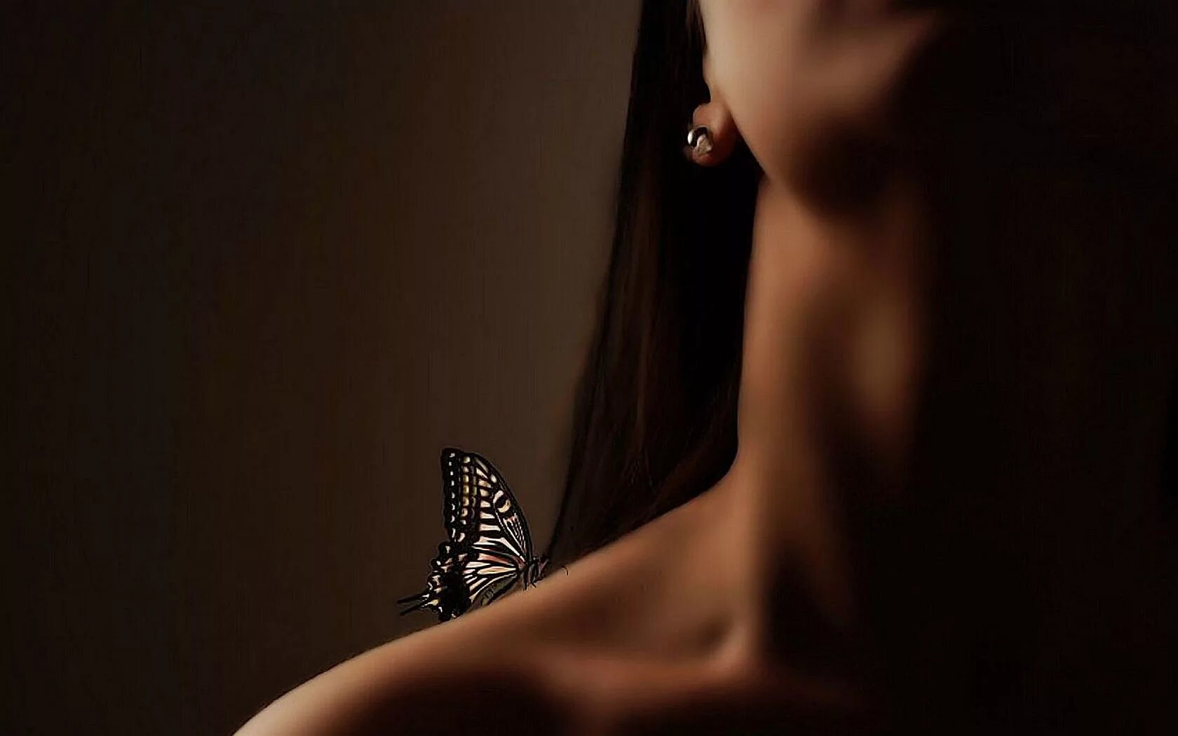 Изгибы ремикс. Красивые изгибы женского тела. Девушка-бабочка. Брюнетка с бабочками. Мурашки по коже девушки красивое.