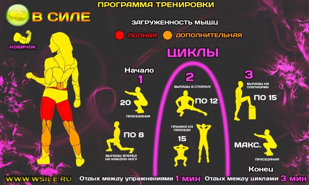 Программа кроссфит для начинающих. План тренировок для девушек. кроссфит программа тренировок. кроссфит упражнения комплекс для женщин. программа тренировок для похудения.