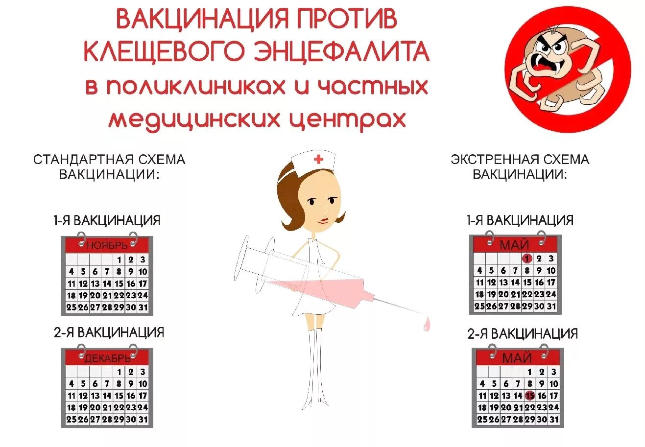 После прививки от клеща ребенок. Прививка о клещевого энцефалита схема вакцинации. Прививка против клещевого энцефалита схема вакцинации. Прививка против клещевого энцефалита схема. Вакцина против клещевого энцефалита схема вакцинации.