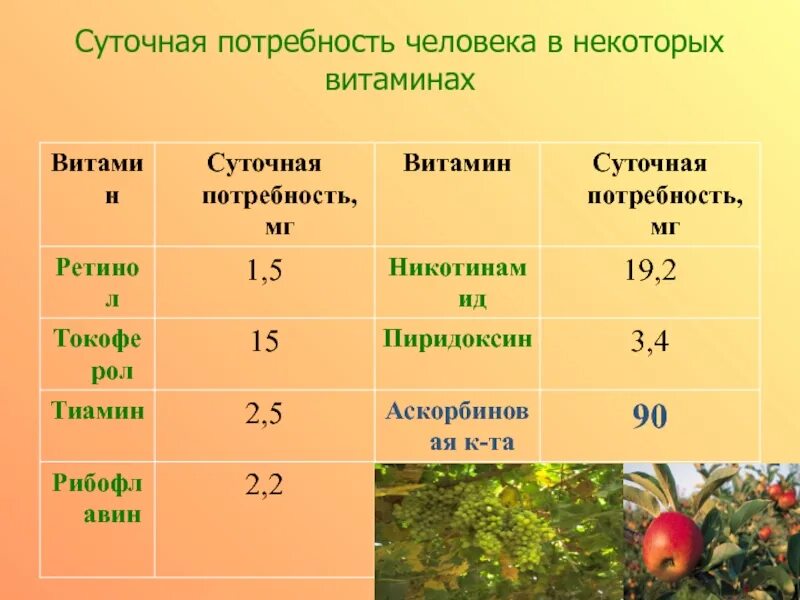 Максимальная суточная витамина с. Суточная потребность витаминов. Суточная потребность человека в витаминах. Суточные потребности витаминов. Среднесуточная потребность человека в витамине а.