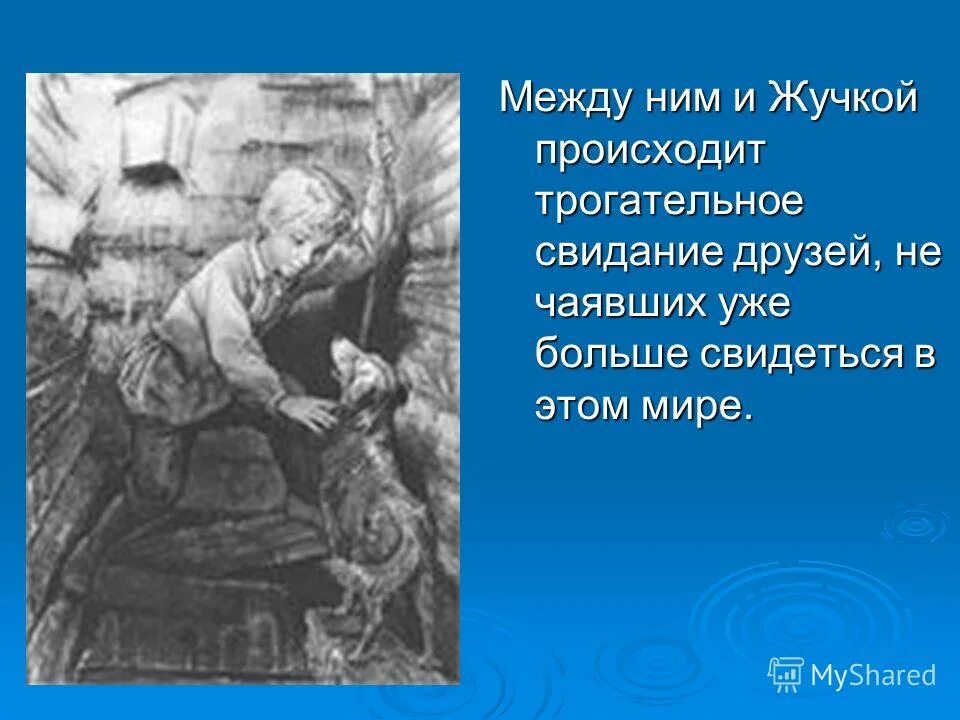 Читать тему и жучку
