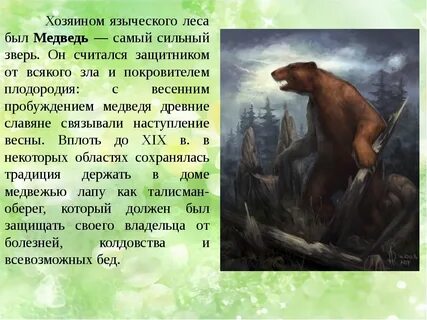 Как зовут медведя