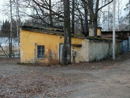 Городские службы санкт петербурга