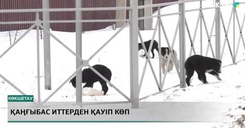 Бисс спутниктік порно арнасы