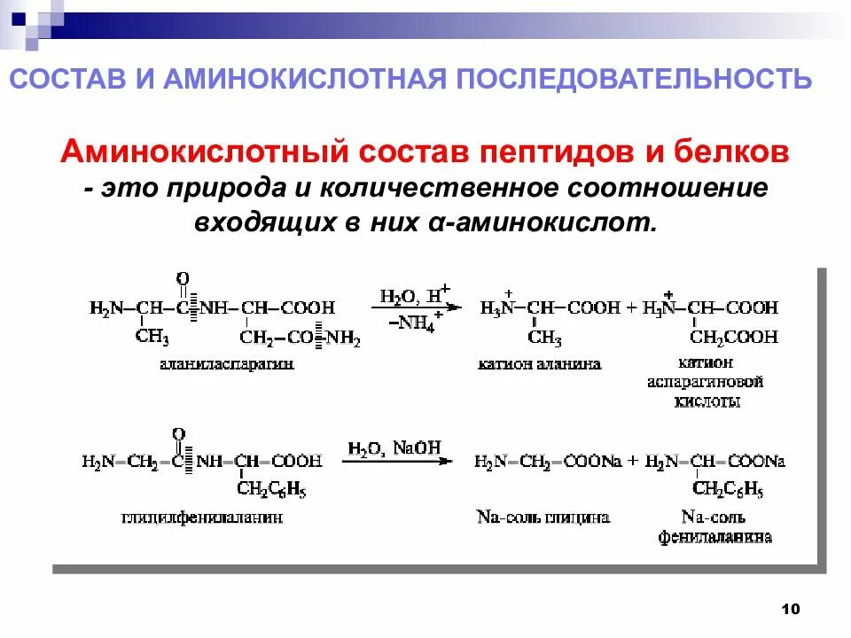 Сколько всего аминокислот. Пептидная последовательность. Пептиды состав. Состав и аминокислотная последовательность пептидов. Какова аминокислотная последовательность пептида.