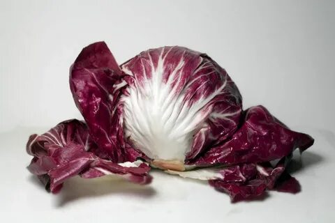 Радичио салат фото как выглядит. 10 ricette vegetariane con il radicchio.