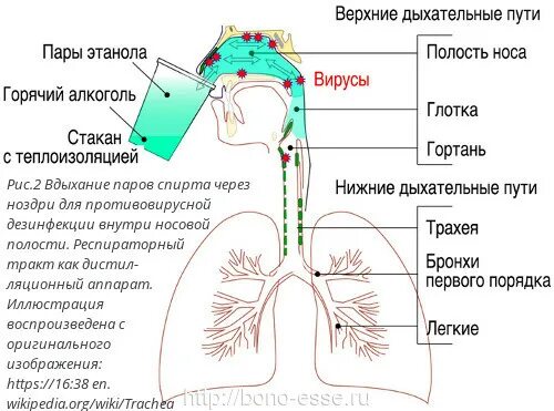 доза алкогольного отравления. пары спирта при вдыхании. вдыхание паров спирта. пары спирта при вдыхании. пары спирта при вдыхании.