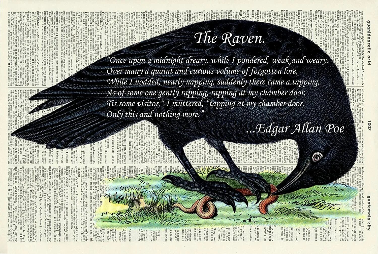 Raven poe. Edgar POE Raven. The Raven by Edgar Allan POE. Nevermore Edgar Allan POE.