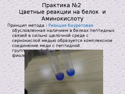 Сульфат меди среда