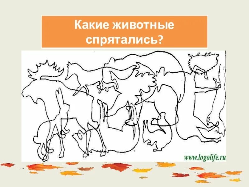 Какое животное изображено на рисунке как оно. Сколько живетный на картинке. Узнай по контуру животных. Головоломки с животными. Сколько зверей на картинке.