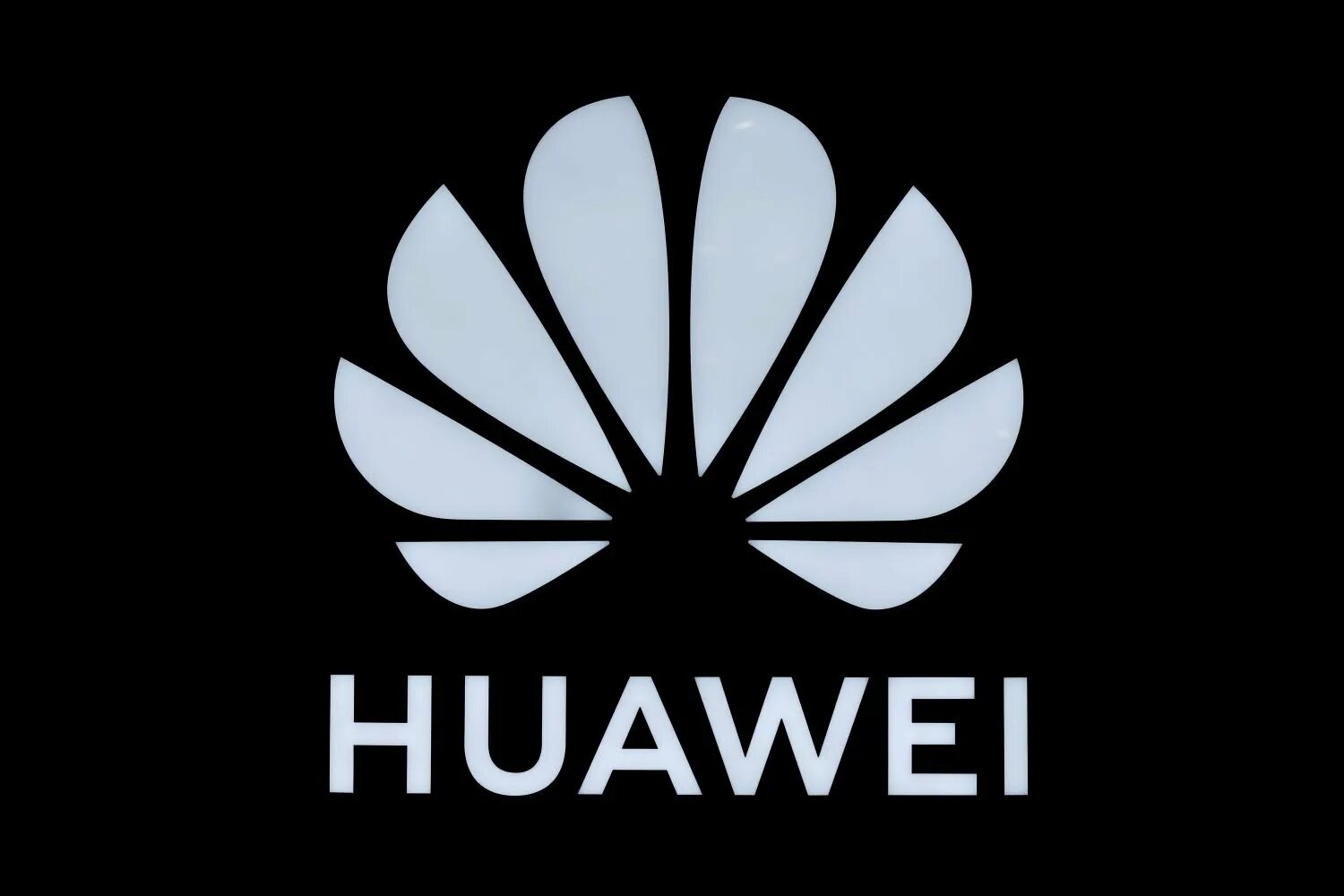 Логотип huawei. Huawei. хуавей лого. логотип хуавей на белом фоне. хуавей черно белый логотип.