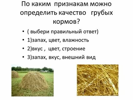 По каким признакам можно распознать фишинговое письмо