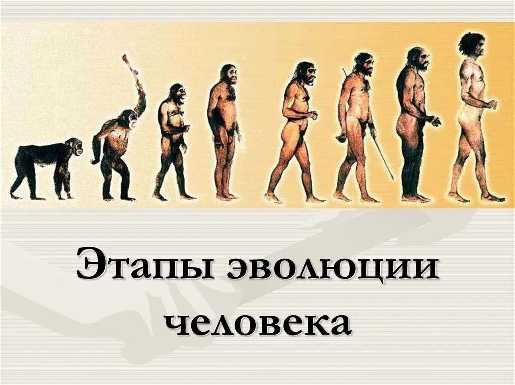 Эволюция человека хомо сапиенс и другие. Ступени развития человека хомо сапиенс. Ступени развития человека Антропогенез. Антропогенез схема эволюции человека.